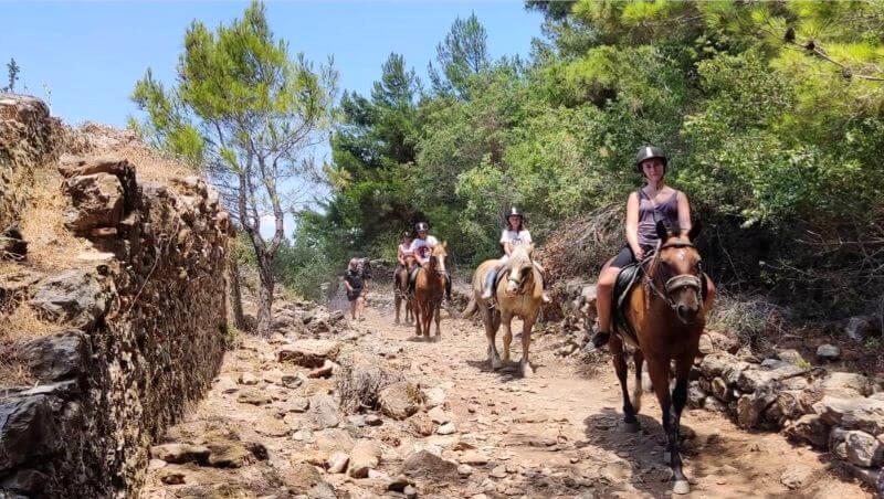 Alanya At Safari: Toroslar’ın Eteklerinde Huzurlu Bir Yolculuk